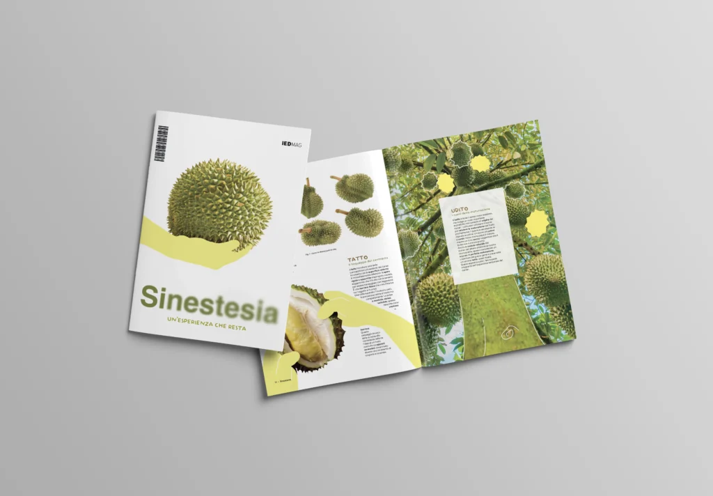 sinestesia 4